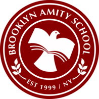 Amity Private K-12 College Preparatory School - Brooklyn, NY